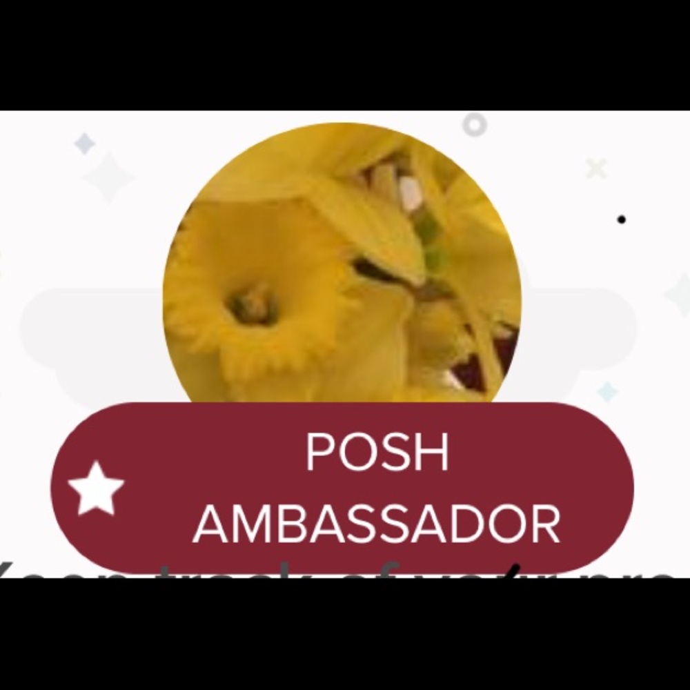 Posh Ambassador